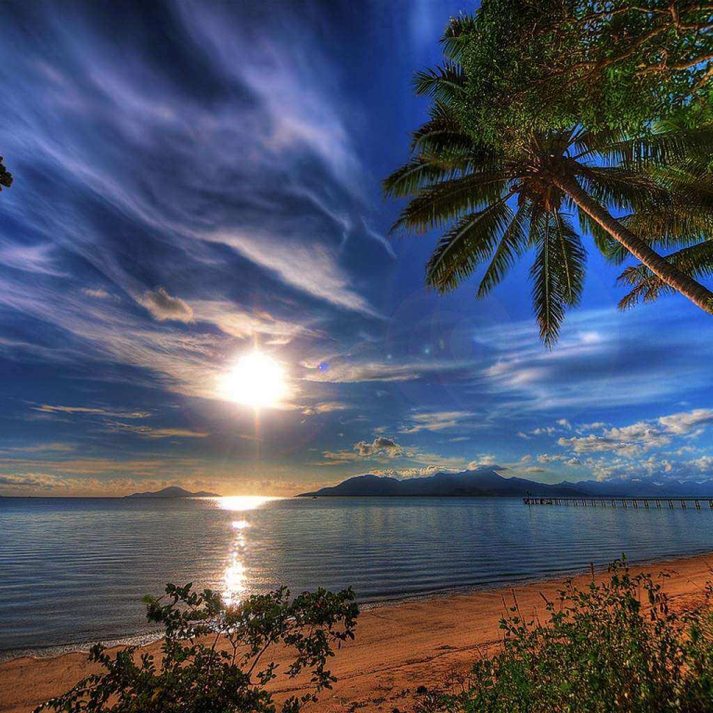 nature-5